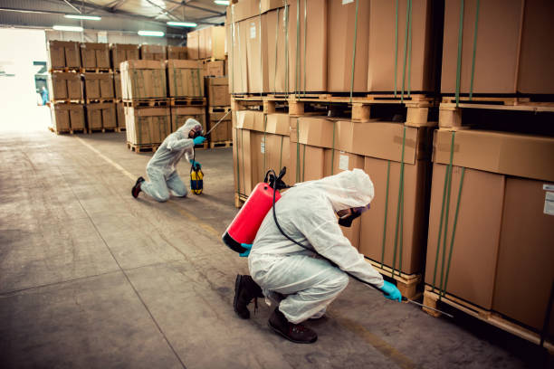 Best Wasp Removal Services  in Laurel, MT