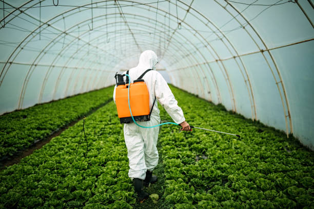 Best Pest Prevention Services  in Laurel, MT