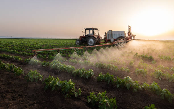 Best Pest Control for Homes  in Laurel, MT