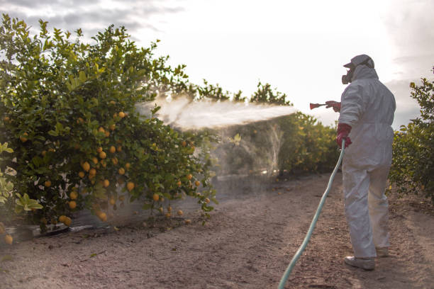 Best Affordable Pest Control Services  in Laurel, MT