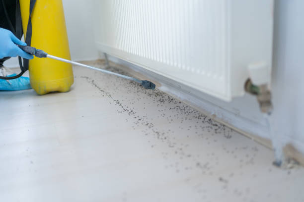 Best Ant Control Services  in Laurel, MT
