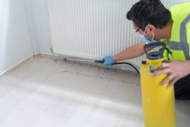Best Local Pest Control Services  in Laurel, MT