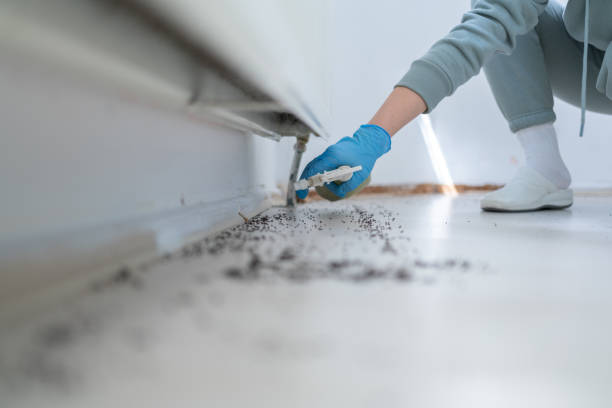 Best Pest Removal Services  in Laurel, MT