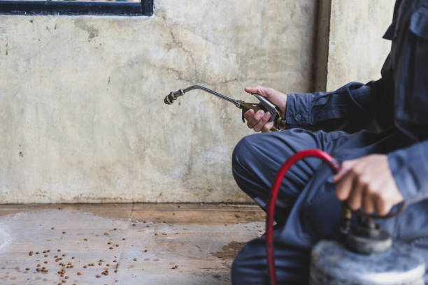 Best Affordable Exterminators  in Laurel, MT