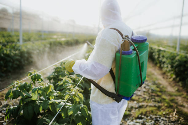 Best Exterminator Services  in Laurel, MT